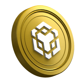 Página de la guía para traders principiantes con la criptomoneda BNB